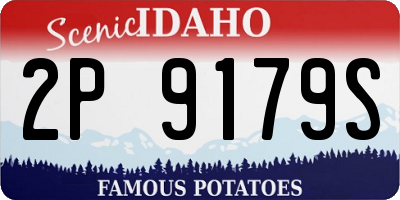 ID license plate 2P9179S