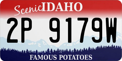 ID license plate 2P9179W