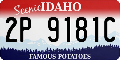 ID license plate 2P9181C