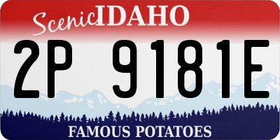 ID license plate 2P9181E