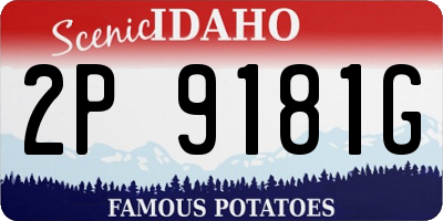 ID license plate 2P9181G