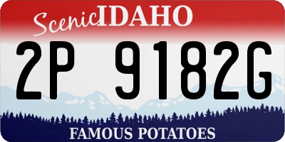 ID license plate 2P9182G