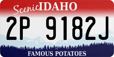 ID license plate 2P9182J