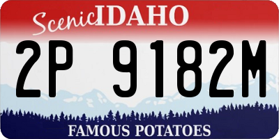 ID license plate 2P9182M