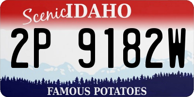ID license plate 2P9182W