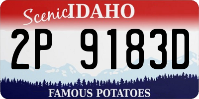 ID license plate 2P9183D