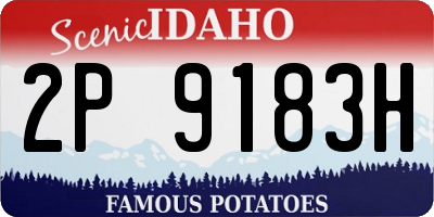 ID license plate 2P9183H