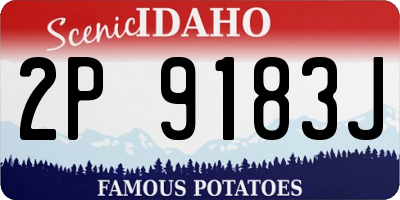 ID license plate 2P9183J
