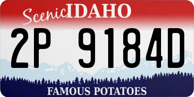 ID license plate 2P9184D
