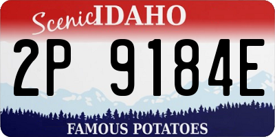 ID license plate 2P9184E