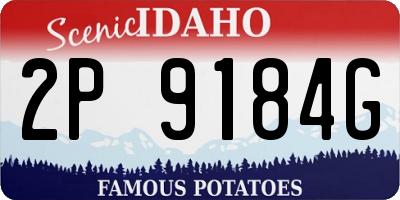 ID license plate 2P9184G