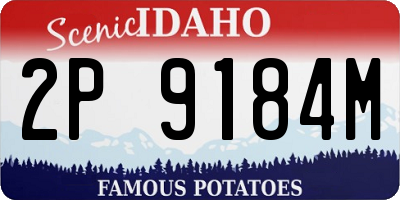 ID license plate 2P9184M