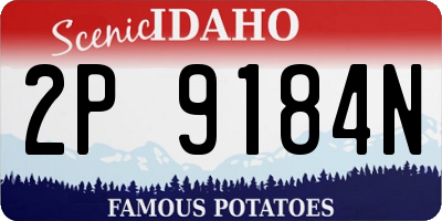 ID license plate 2P9184N