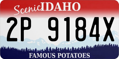 ID license plate 2P9184X