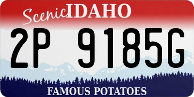 ID license plate 2P9185G
