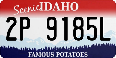 ID license plate 2P9185L
