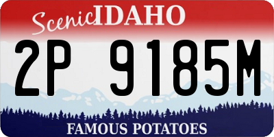 ID license plate 2P9185M