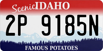 ID license plate 2P9185N