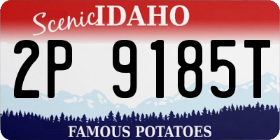 ID license plate 2P9185T