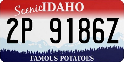 ID license plate 2P9186Z