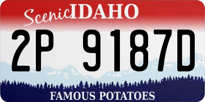 ID license plate 2P9187D