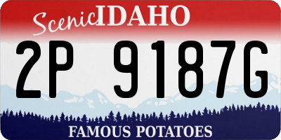 ID license plate 2P9187G