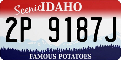 ID license plate 2P9187J