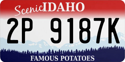 ID license plate 2P9187K