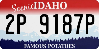 ID license plate 2P9187P