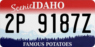 ID license plate 2P9187Z