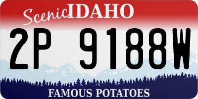 ID license plate 2P9188W