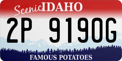 ID license plate 2P9190G