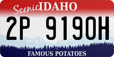 ID license plate 2P9190H