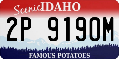ID license plate 2P9190M
