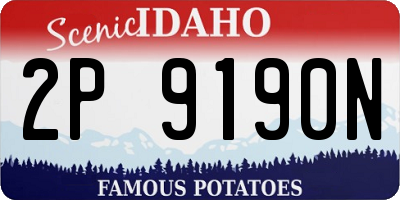 ID license plate 2P9190N