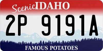 ID license plate 2P9191A