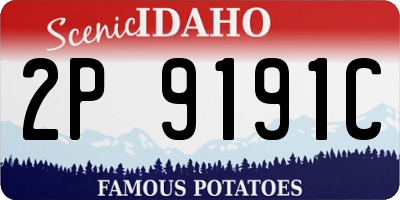 ID license plate 2P9191C