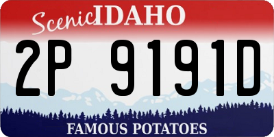 ID license plate 2P9191D
