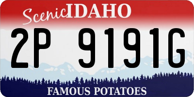 ID license plate 2P9191G