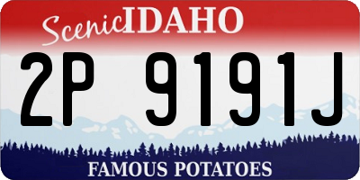 ID license plate 2P9191J