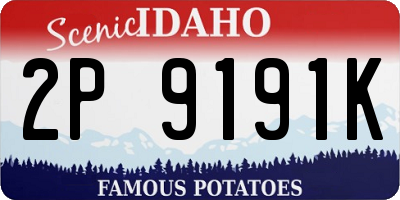 ID license plate 2P9191K