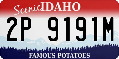 ID license plate 2P9191M