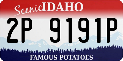 ID license plate 2P9191P