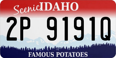 ID license plate 2P9191Q