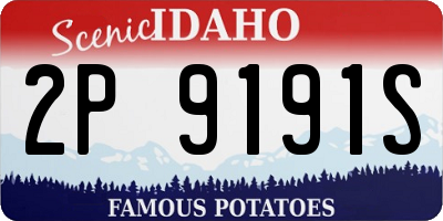 ID license plate 2P9191S