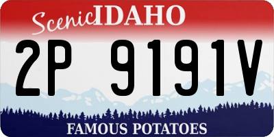 ID license plate 2P9191V