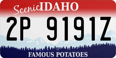 ID license plate 2P9191Z