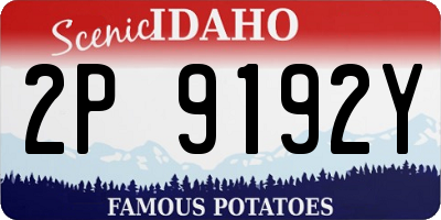 ID license plate 2P9192Y