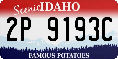 ID license plate 2P9193C
