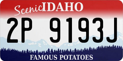 ID license plate 2P9193J